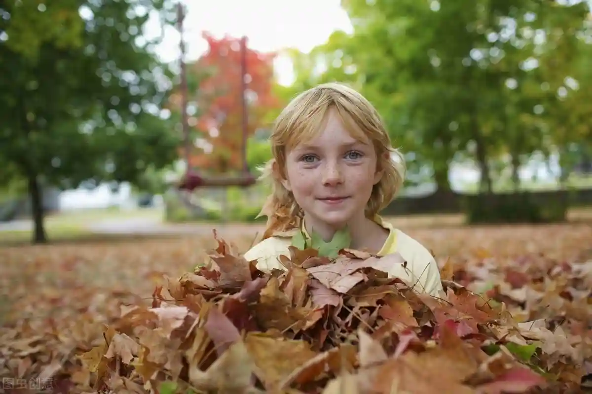 第一次入境加拿大，你需要注意什么