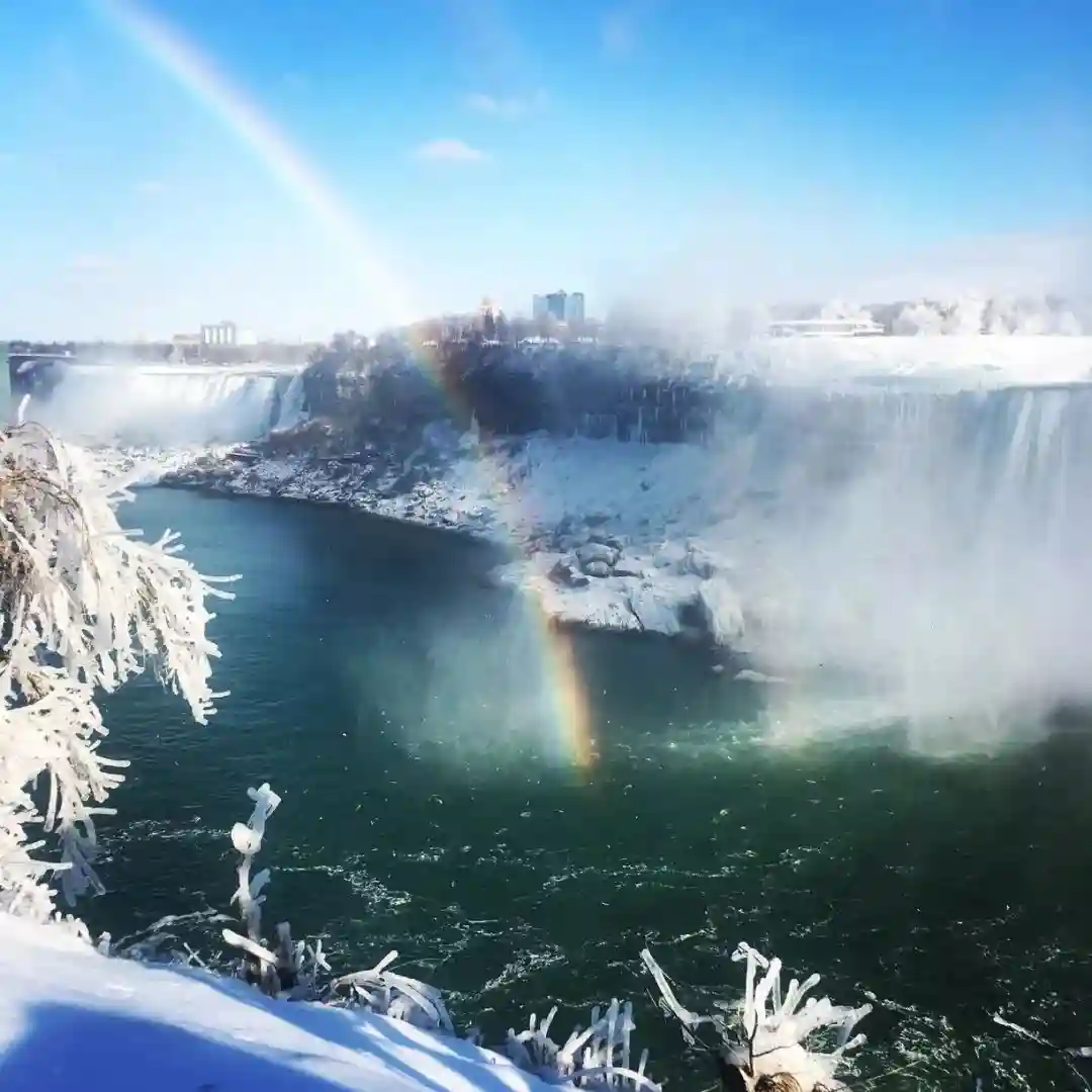 支付宝放大招？加拿大签证赶紧办起来